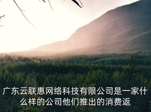 廣東云聯(lián)惠網(wǎng)絡科技有限公司是一家什么樣的公司他們推出的消費返