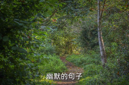 幽默的句子