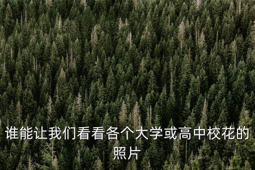 誰能讓我們看看各個(gè)大學(xué)或高中校花的照片