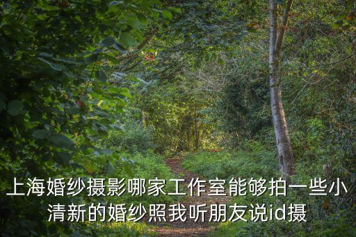 上海婚紗攝影哪家工作室能夠拍一些小清新的婚紗照我聽朋友說id攝