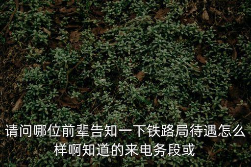 請問哪位前輩告知一下鐵路局待遇怎么樣啊知道的來電務段或