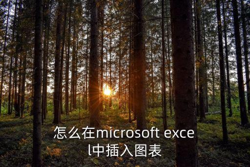 怎么在microsoft excel中插入圖表
