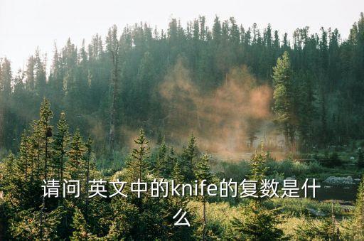 knife的復數，knife的復數形式