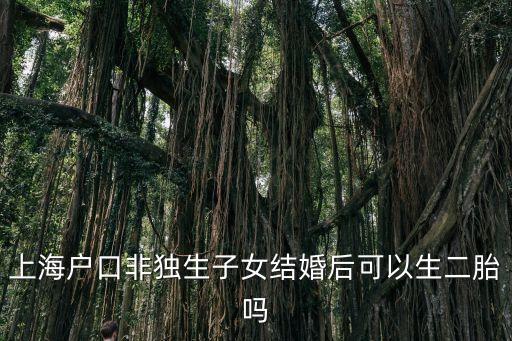 上海戶口非獨生子女結婚后可以生二胎嗎