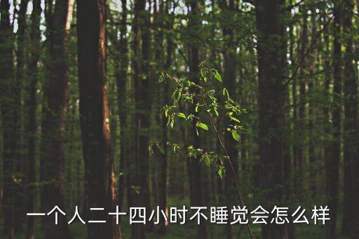 一個人二十四小時不睡覺會怎么樣