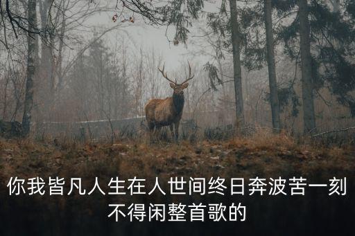 凡人歌詞，因為我是凡人英文歌名