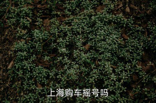 上海市內(nèi)車上牌搖號(hào)嗎，上海轎車上戶牌照隨搖號(hào)嗎