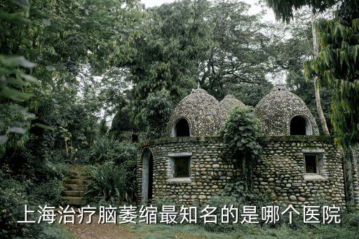 上海治療腦萎縮最知名的是哪個醫院
