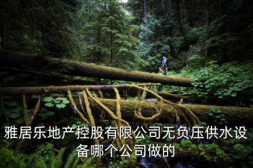 雅居樂地產控股有限公司無負壓供水設備哪個公司做的