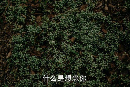 什么是想念你