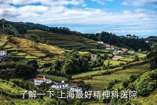 上海市第一精神科醫(yī)院，了解一下 上海最好精神科醫(yī)院