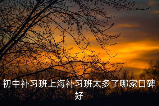 初中補習(xí)班上海補習(xí)班太多了哪家口碑好