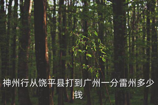 雷州和廣西在廣州打，為什么雷州人老是在廣州打架
