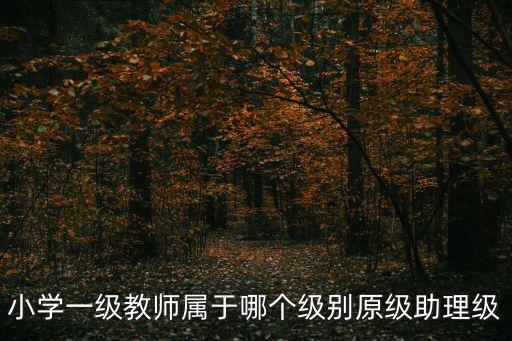 小學(xué)一級(jí)教師屬于哪個(gè)級(jí)別原級(jí)助理級(jí)