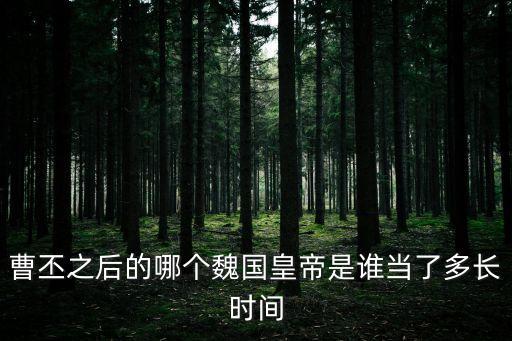 曹丕之后的哪個魏國皇帝是誰當了多長時間