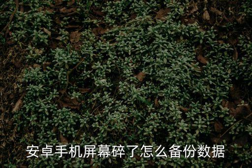 安卓備份，安卓手機整個系統備份還原哪個軟件可實現