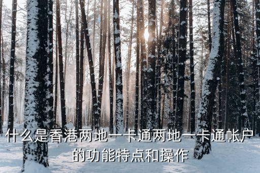 廣州芝柏保養聯系萬 菱匯A塔7層，芝柏售后點在哪