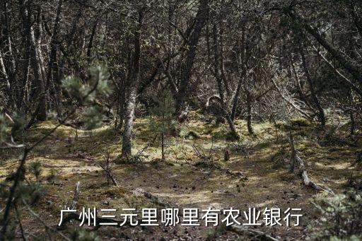 廣州三元里哪里有農(nóng)業(yè)銀行