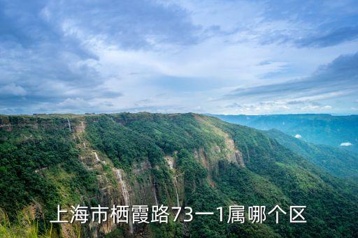 上海市棲霞村，上海市浦東新區靠近棲霞路嶗山二村會動遷嗎