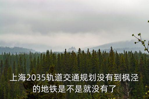 上海2035軌道交通規(guī)劃沒(méi)有到楓涇的地鐵是不是就沒(méi)有了