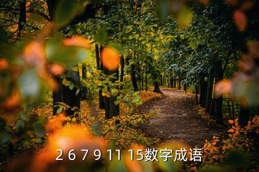 2 6 7 9 11 15數(shù)字成語