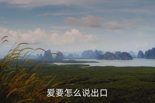 愛要怎么說出口