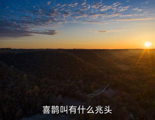 喜鵲叫有什么兆頭