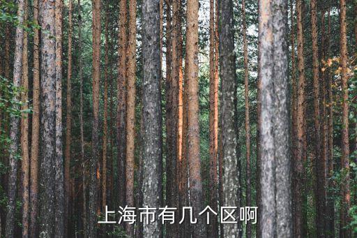 上海市有幾個區啊