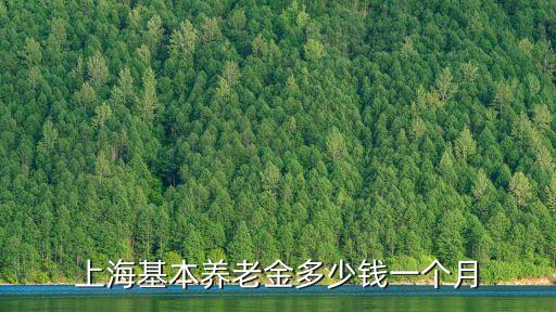 上海基本養老金多少錢一個月