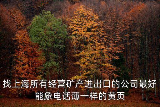 找上海所有經(jīng)營礦產(chǎn)進出口的公司最好能象電話薄一樣的黃頁