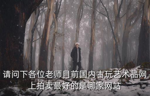 官方網站廣州網拍古董，哪里有古董拍賣