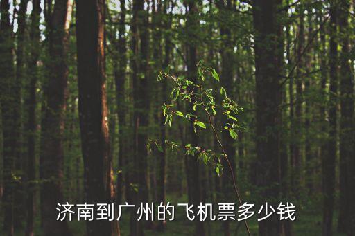 濟(jì)南到廣州的飛機(jī)票多少錢