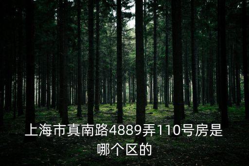 上海市真南路4889弄110號房是哪個區的