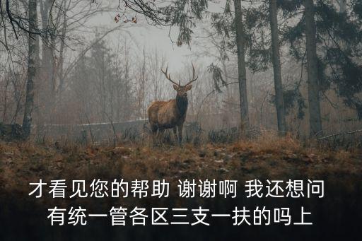 上海市三支一扶調整待遇，才看見您的幫助 謝謝啊 我還想問 有統一管各區三支一扶的嗎上