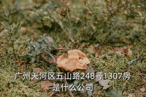 廣州天河區五山路248號1307房是什么公司