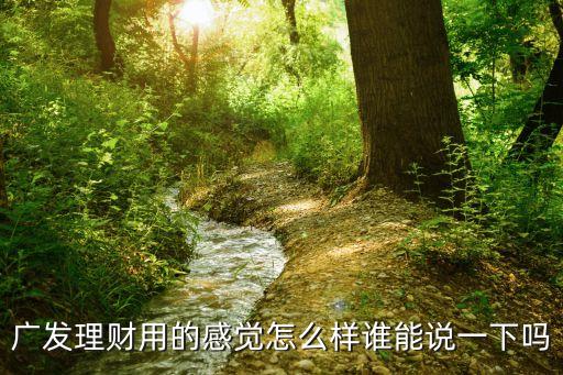 廣發理財用的感覺怎么樣誰能說一下嗎
