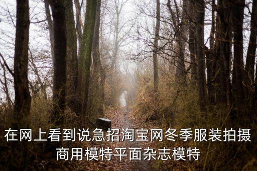 在網(wǎng)上看到說急招淘寶網(wǎng)冬季服裝拍攝商用模特平面雜志模特