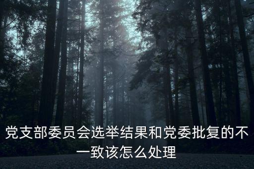 選舉結(jié)果，兩會 選舉結(jié)果什么時候