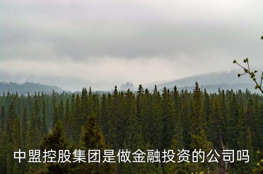 中盟控股集團(tuán)是做金融投資的公司嗎