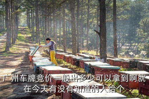 2016年1月廣州車牌競價，廣州車牌拍賣成交價