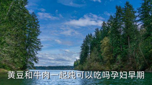 黃豆和牛肉一起燉可以吃嗎孕婦早期
