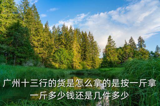 情商不是很高的女人廣州十三行拿貨，廣州十三行的貨是怎么拿的是按一斤拿一斤多少錢還是幾件多少