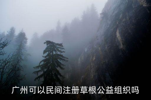 廣州可以民間注冊草根公益組織嗎