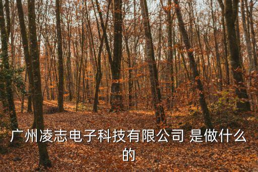 廣州問鼎科技有限公司，廣州市雄踞信息科技有限公司的資質(zhì)如何