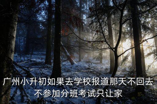 2020廣州小升初會推遲嗎，開學延遲小升初時間會變嗎