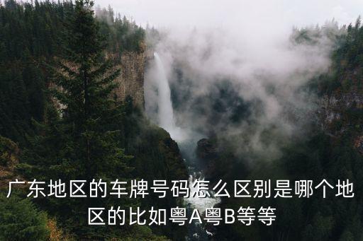 廣州車牌號是B嗎，關于廣東和廣西的車牌號比如粵A代表廣州 桂B代表柳州啊詳細些