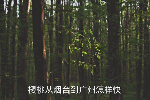 櫻桃從煙臺(tái)發(fā)廣州用什么運(yùn)輸，櫻桃從煙臺(tái)到廣州怎樣快
