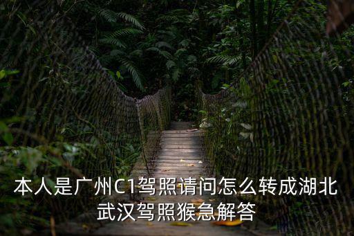 本人是廣州C1駕照請問怎么轉成湖北武漢駕照猴急解答