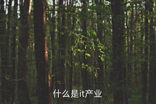 什么是it產業