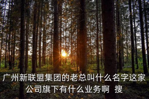 廣州新聯(lián)盟集團(tuán)的老總叫什么名字這家公司旗下有什么業(yè)務(wù)啊  搜